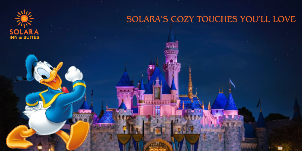 Solara’s Cozy Touches You’ll Love